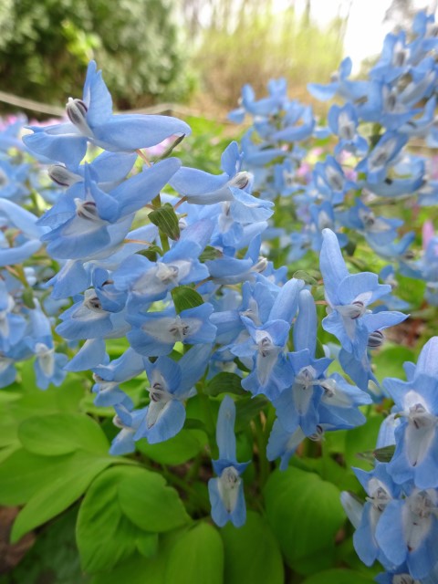 DSC01534