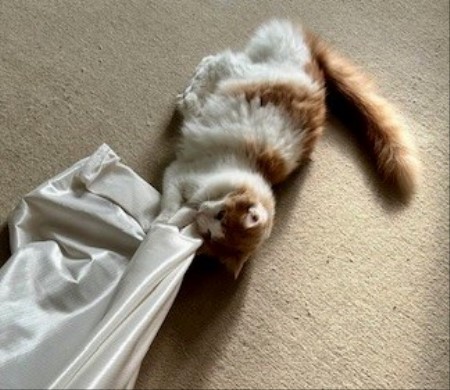 thumbnail_IMG_4401 (2)