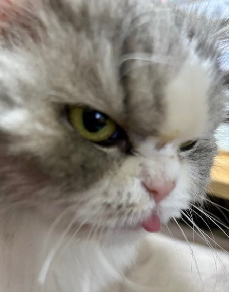 thumbnail_IMG_4296 (2)