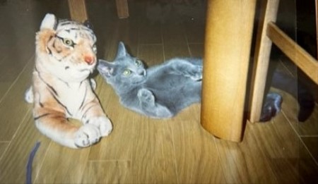 thumbnail_IMG_6987