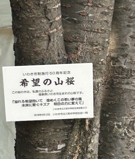 thumbnail_IMG_0989 (2)