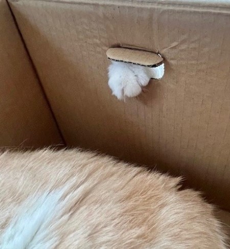 thumbnail_IMG_2881 (1)