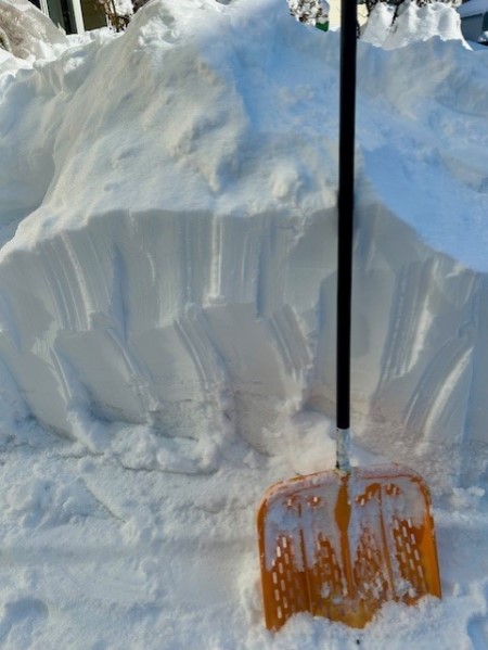 0928bc3b-f639-42a6-b6c2-e6d6cd9558cb