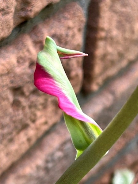 thumbnail_IMG_9893 (1)