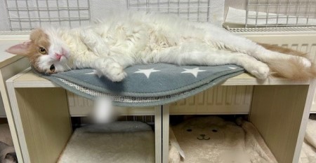 31ef95d6-8f88-4db9-a56a-e8827c5018b9