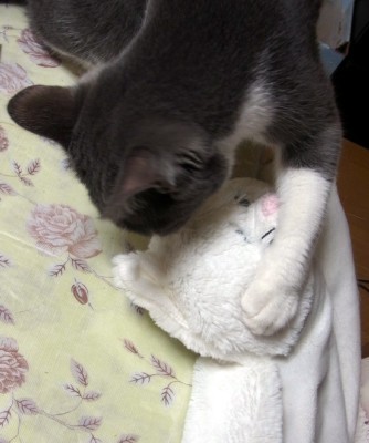 「猫だらけ」