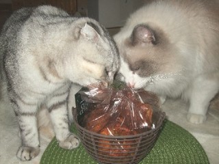 2008_03150027