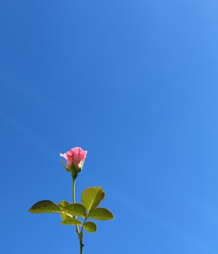 thumbnail_IMG_6039