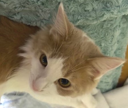 thumbnail_IMG_1464 (1)