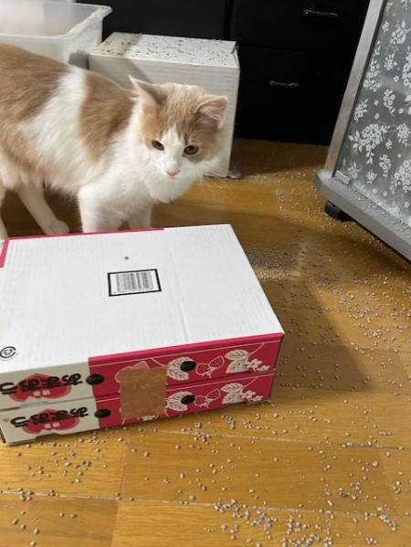 thumbnail_IMG_8104 (1)