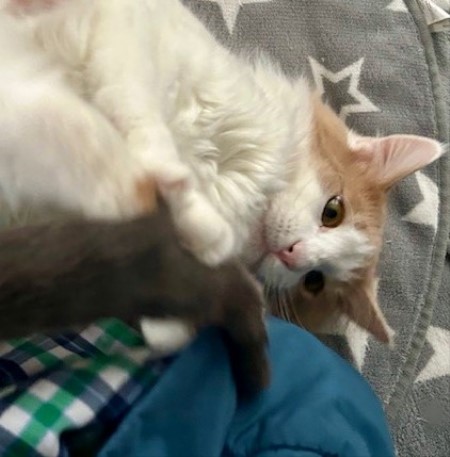 thumbnail_IMG_4310 (1)