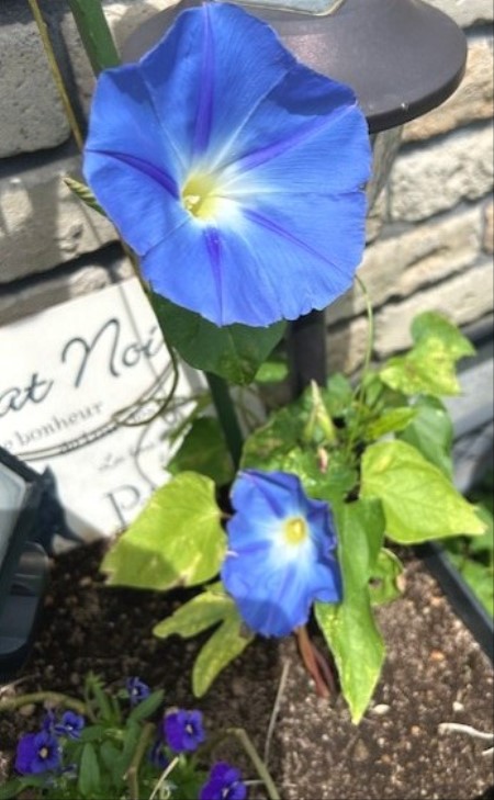thumbnail_IMG_3302