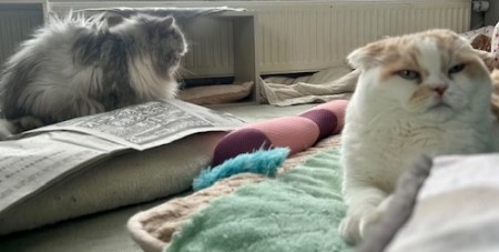 57de7770-ae12-41ca-8f26-49791ca9e7dc