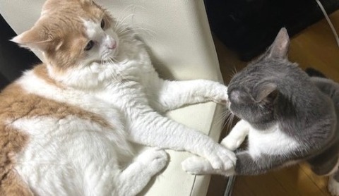 thumbnail_IMG_3760 (1)