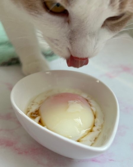 thumbnail_IMG_7930 (1)