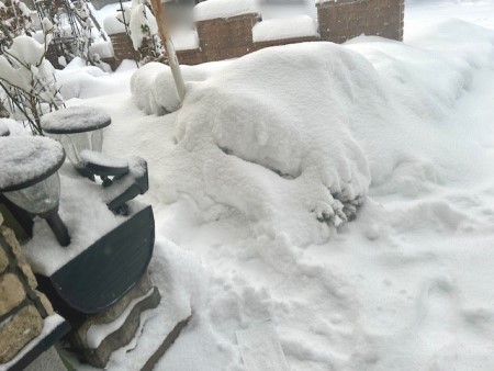 thumbnail_IMG_5342 (2)