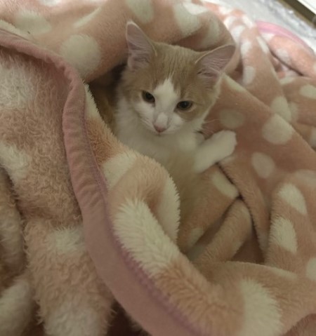 thumbnail_IMG_5488 (1)