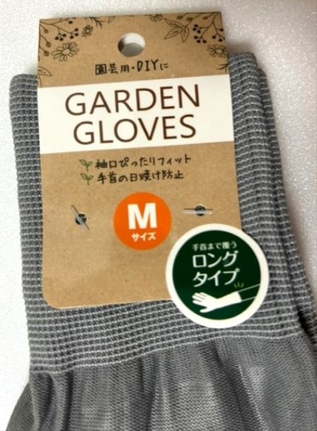 thumbnail_IMG_7294
