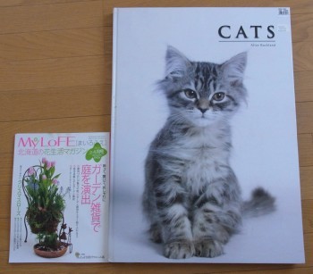 「猫だらけ」