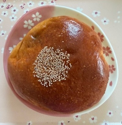 b9e96439-1f09-4f13-9cef-8ea767f92056