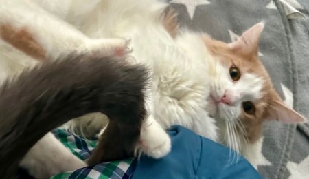 thumbnail_IMG_4312 (1)