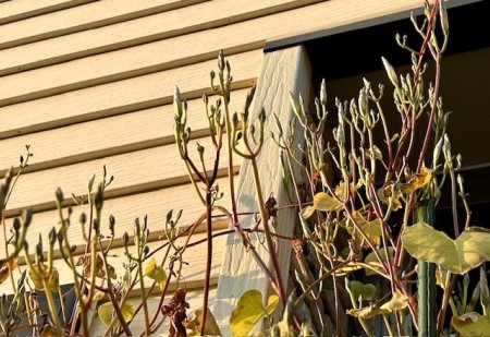 thumbnail_IMG_4418 (1)