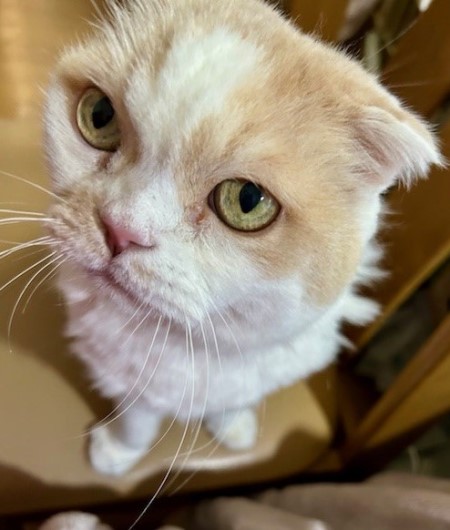 thumbnail_IMG_5913 (1)