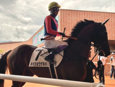 thumbnail_IMG_1550 (1)