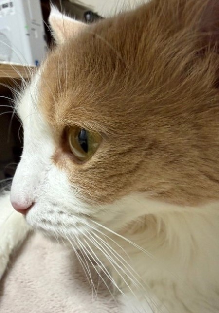 c7f20925-1c35-47ed-a2dd-0b5b1bae4b46