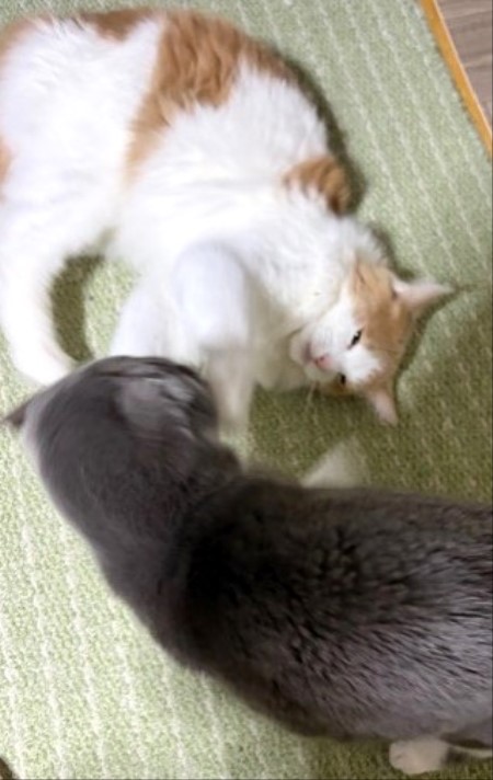 8844ebb9-e736-4014-8332-48ada3b0284a