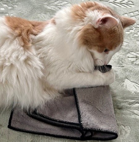 thumbnail_IMG_4865 (1)