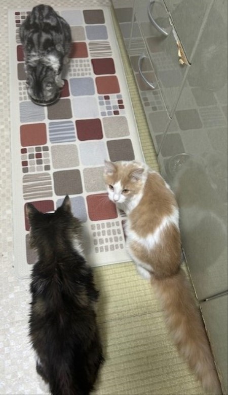 thumbnail_IMG_4988 (1)