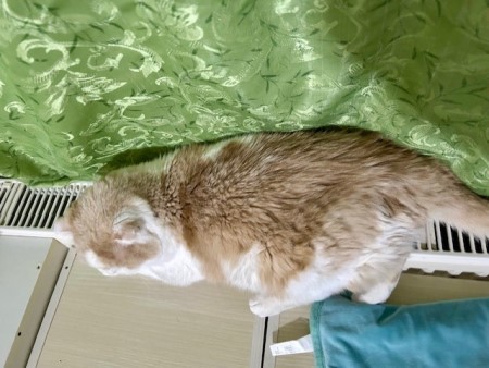 thumbnail_IMG_4947 (1)