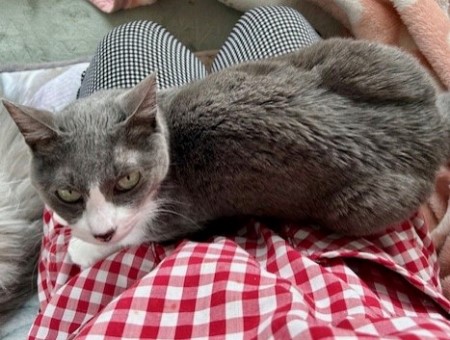 e59fbded-15a6-40e2-8f51-d7f29433e38d