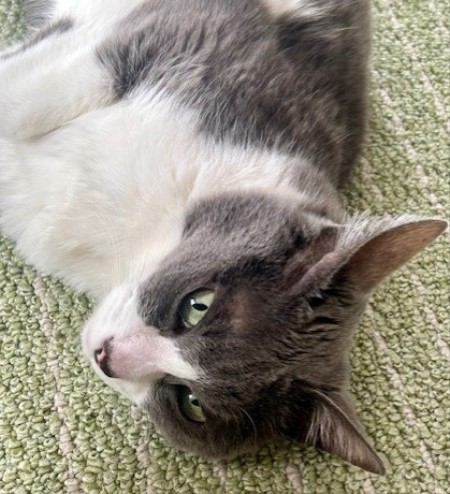 32df49f1-641f-45ea-975a-10ba923b4073