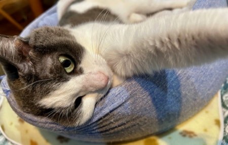 8a06f3ce-646e-457e-a71d-d8533418c626