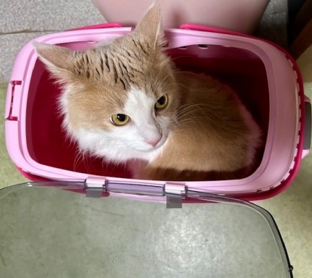 thumbnail_IMG_6248 (1)