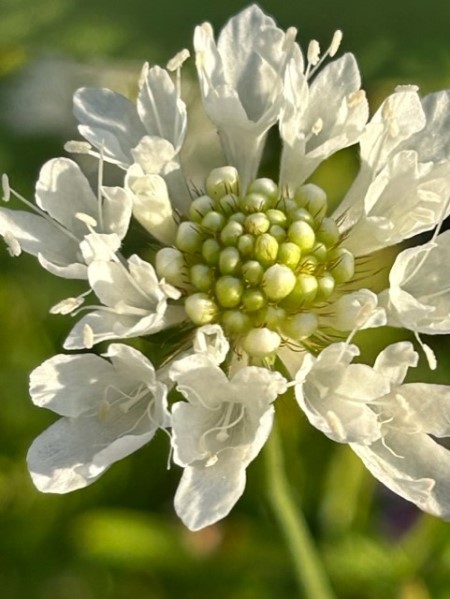 thumbnail_IMG_7069 (1)