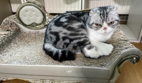 4112