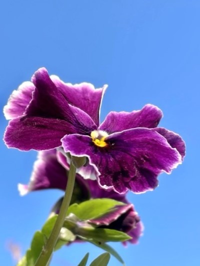 thumbnail_IMG_8661
