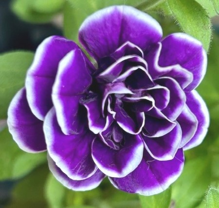 thumbnail_IMG_4939