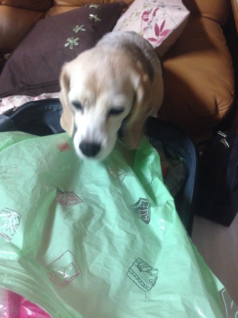 photo:06