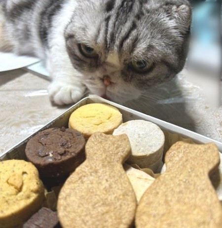 thumbnail_IMG_6949 (1)