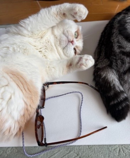 3f8ca424-189a-4ced-933c-0d7645dbac3d