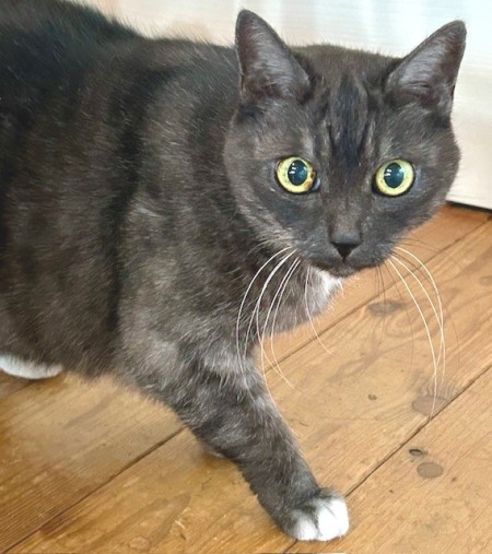 ddbba72c-6be7-4e8d-916a-4f0bd73ffaa4