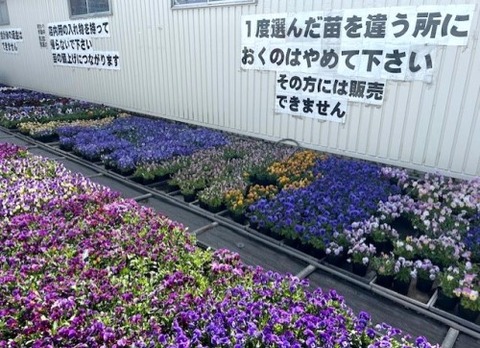 thumbnail_IMG_9243