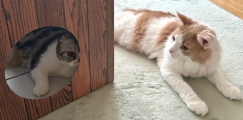 thumbnail_IMG_8379 (2)