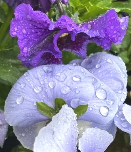 thumbnail_IMG_9182