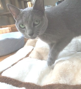 837ebd47