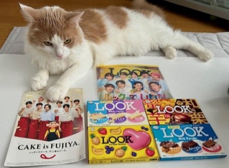 thumbnail_IMG_2173 (1)